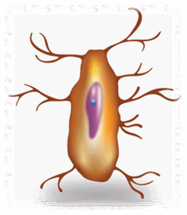 0500eqqb-e1bd-382x439.png