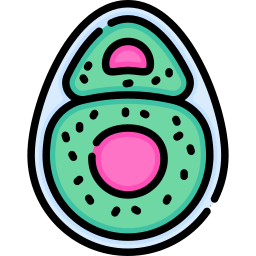 0500eqqd-c676-256x256.png