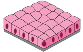 0500eqtr-df38-283x176.png