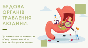 Презентація на тему "Будова органів травлення"