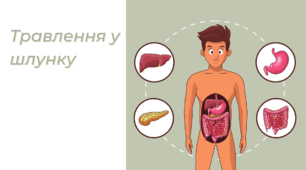 Презентація на тему "Травлення у шлунку"