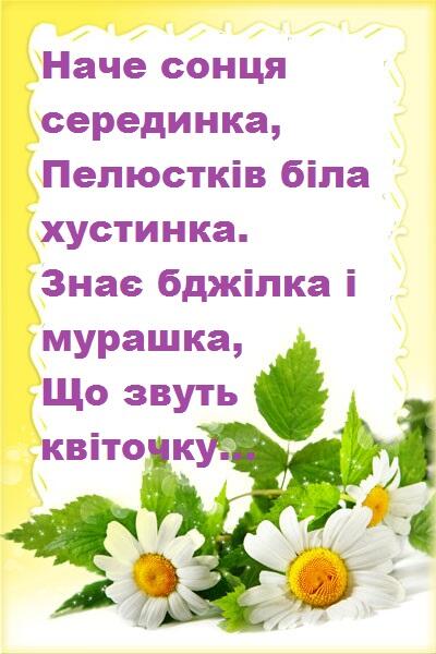 0500eu59-6514-400x600.jpg