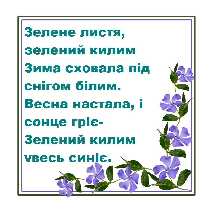 0500eu5f-9f4e-800x800.jpg