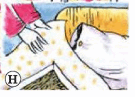 0500ew41-90e1-264x189.png