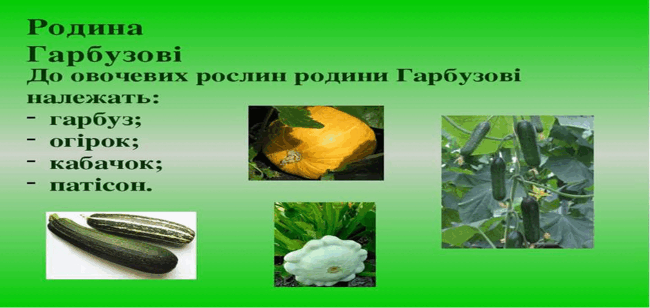 0500ey56-e61b-940x446.png