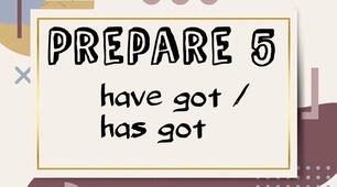 Prepare 5. THINGS IN MY ROOM.Вживання have got / has got