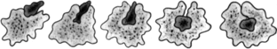0500f2m5-4f78-312x56.png