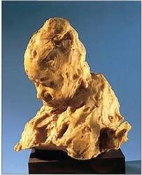 0500f2ox-bd85-261x320.jpg