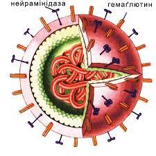0500f2x3-c4a4-225x225.jpg