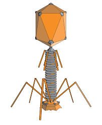 0500f2xo-c5cc-203x248.png