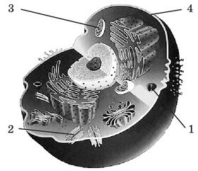 0500f39a-a9bd-280x241.jpg