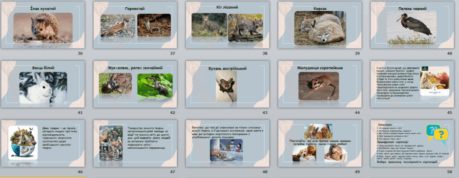 0500f3gk-e899-940x366.png