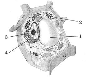 0500f3yg-9cfd-277x251.jpg