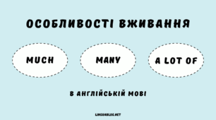  Many,much, a lot of, little, a little with countable and uncountable nouns.