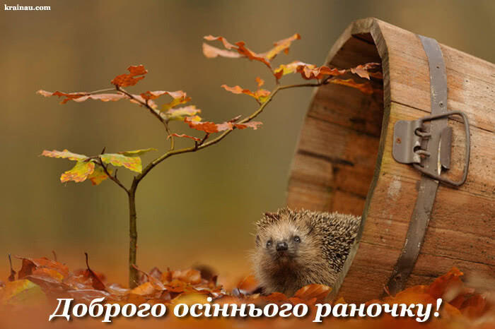 Доброго ранку осіннього ранку: картинки та побажання