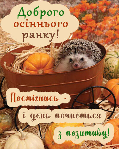 Побажання доброго осіннього ранку на листівках