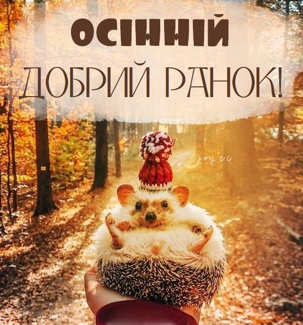 Красиві картинки - Доброго осіннього ранку! (45 фото)