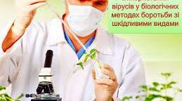 Роль вірусів в еволюції організмів.Використання вірусів у біологічних методах  боротьби зі шкідливими видами.