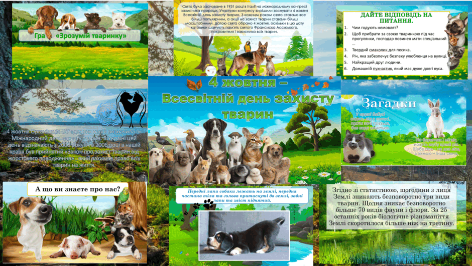 0500feue-f116-940x531.png