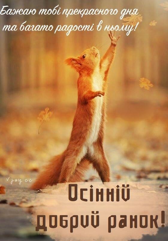 Красиві картинки - Доброго осіннього ранку! (45 фото)
