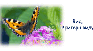 Презентація "Вид. Критерії виду"