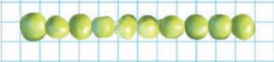0500fiza-fda0-388x88.png