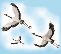 0500fkga-7d27-213x189.png