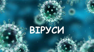 Взаємодія вірусів з клітиною-хазяїном