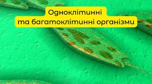 Відео-презентація "Одноклітинні та багатоклітинні тварини"