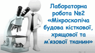 (Копія) Лабораторне дослідження: мікроскопічна будова кісткової, хрящової та м'язової тканин.