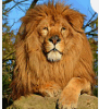 0500fuhg-0e79-91x100.png