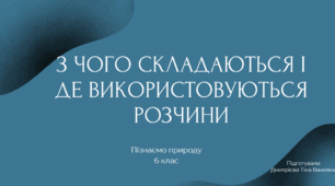 З чого складаються і де використовуються розчини.Пізнаємо природу. 6 клас.