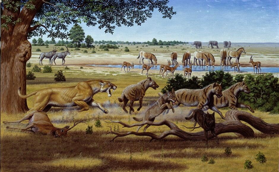 0500fwqy-2197-940x578.jpg