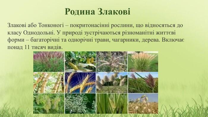 0500fy8s-b481-700x394.jpg