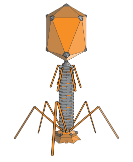 0500g0q7-a60e-265x323.png