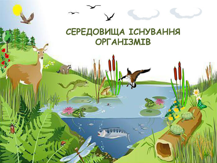 0500g3rt-29d0-700x525.jpg