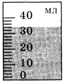 0500g519-a947-516x663.png
