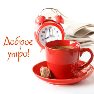 0500g6nm-f8ed-301x301.jpg