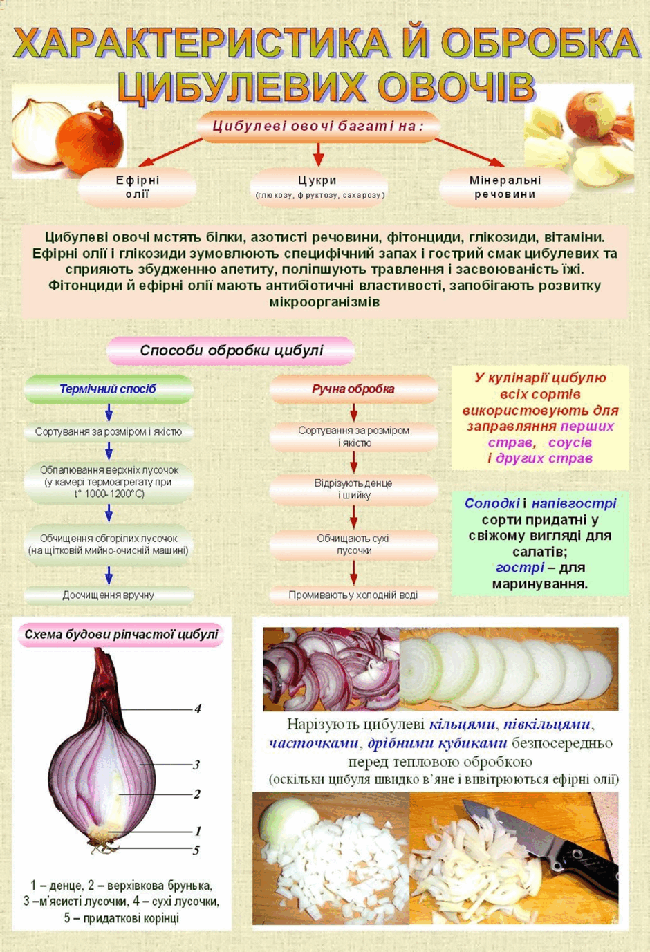 0500g9p8-1a10-940x1377.png