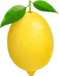 0500g9t9-feed-86x110.png