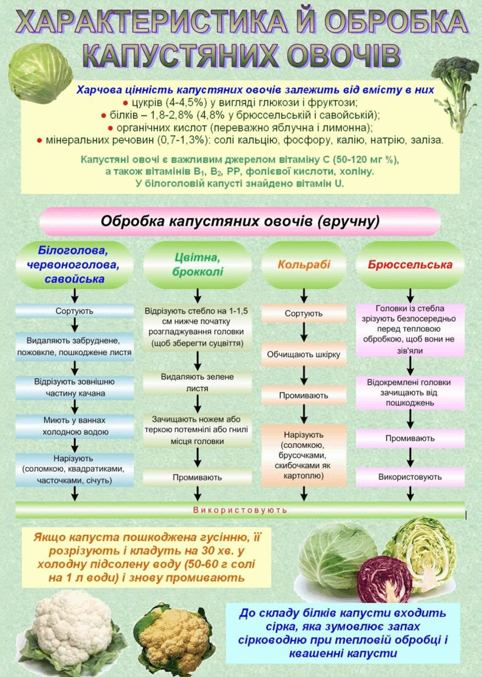 0500g9we-2e69-940x1320.png