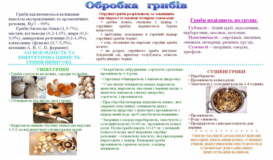 0500g9wp-2076-940x553.png