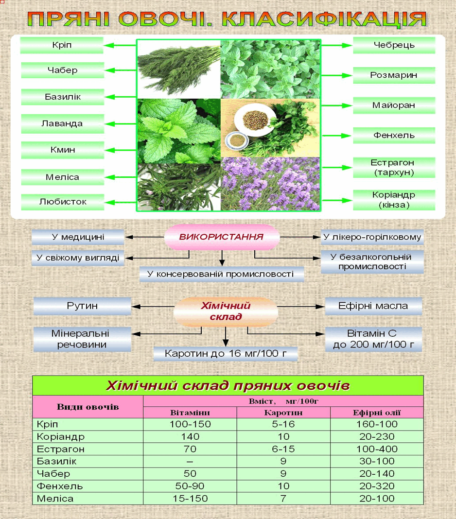 0500ga85-3a71-938x1068.png
