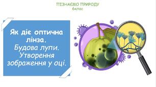 Презентація на тему "Як діє оптична лінза. Будова лупи. Утворення зображення у оці"