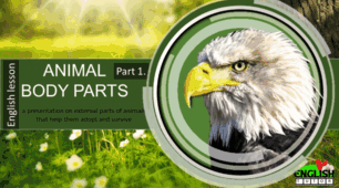 Animal Body Parts.№1.Частини тіла тварин.Picture Tests.                         