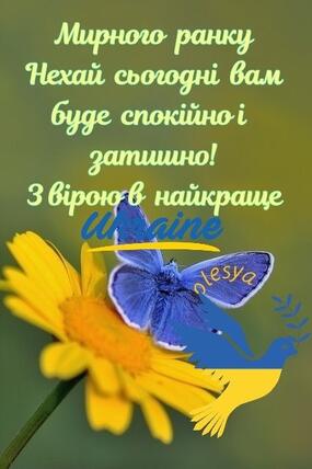 0500gjvi-f636-285x428.jpg