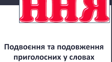Подвоєння та подовження приголосних в словах іншомовного походження