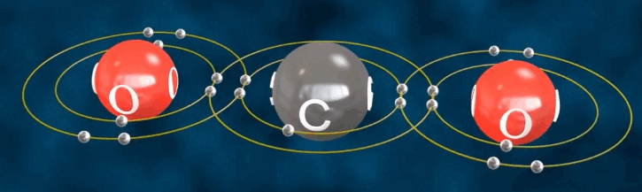0500gocg-c016-725x217.png
