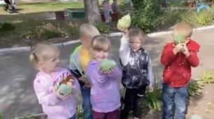 Трудова діяльність " Збір урохаю на городі"