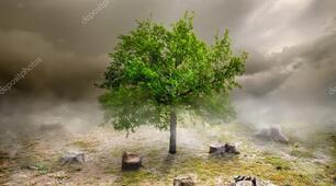Voc Quiz 1 (OS3)